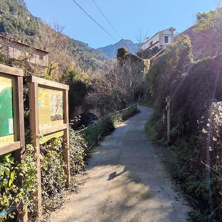 Alojamientos Puerta Del Parque Касорла Номер фото