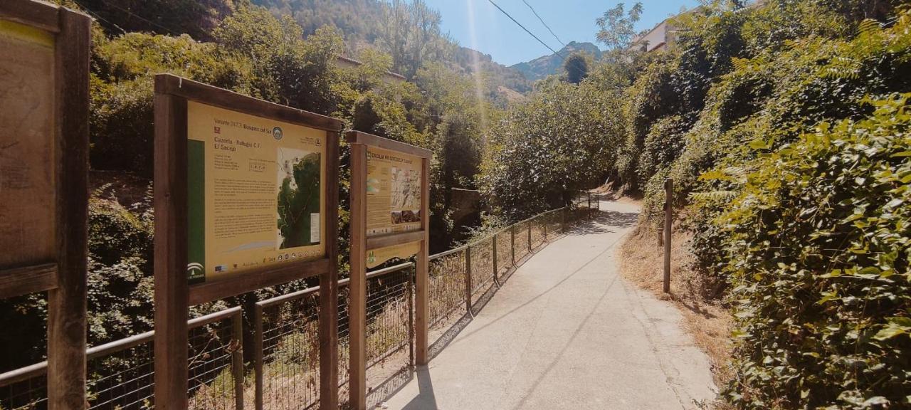 Alojamientos Puerta Del Parque Касорла Екстер'єр фото